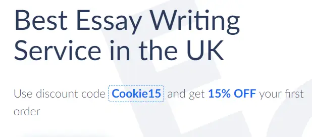 Essaygeeks discount