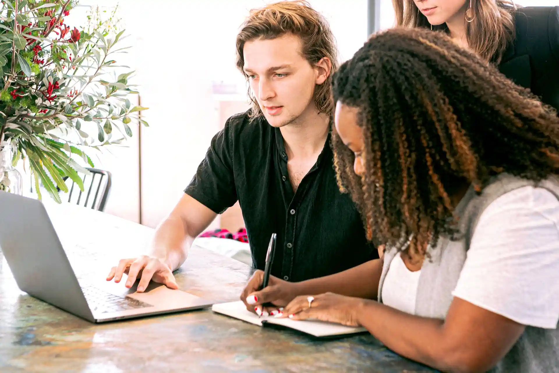 compare essay essay