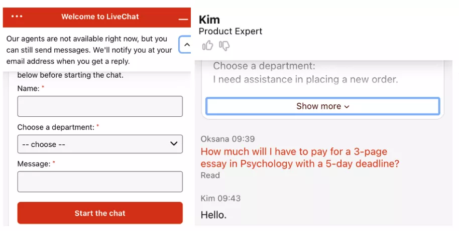 ProEssayWriting LiveChat