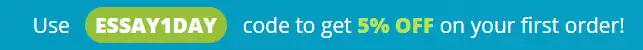 EssayOneDay discount