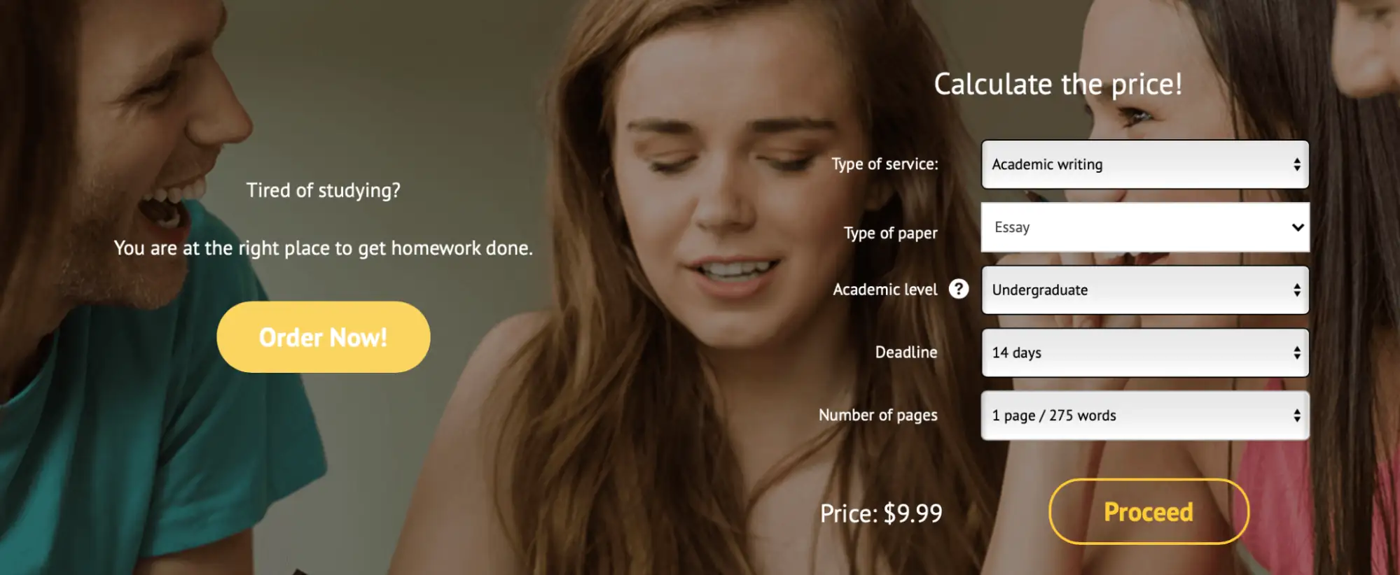 Essaystone review logo