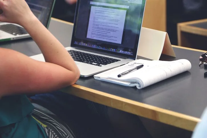 10+ Persuasive Essay Examples for Students That Work