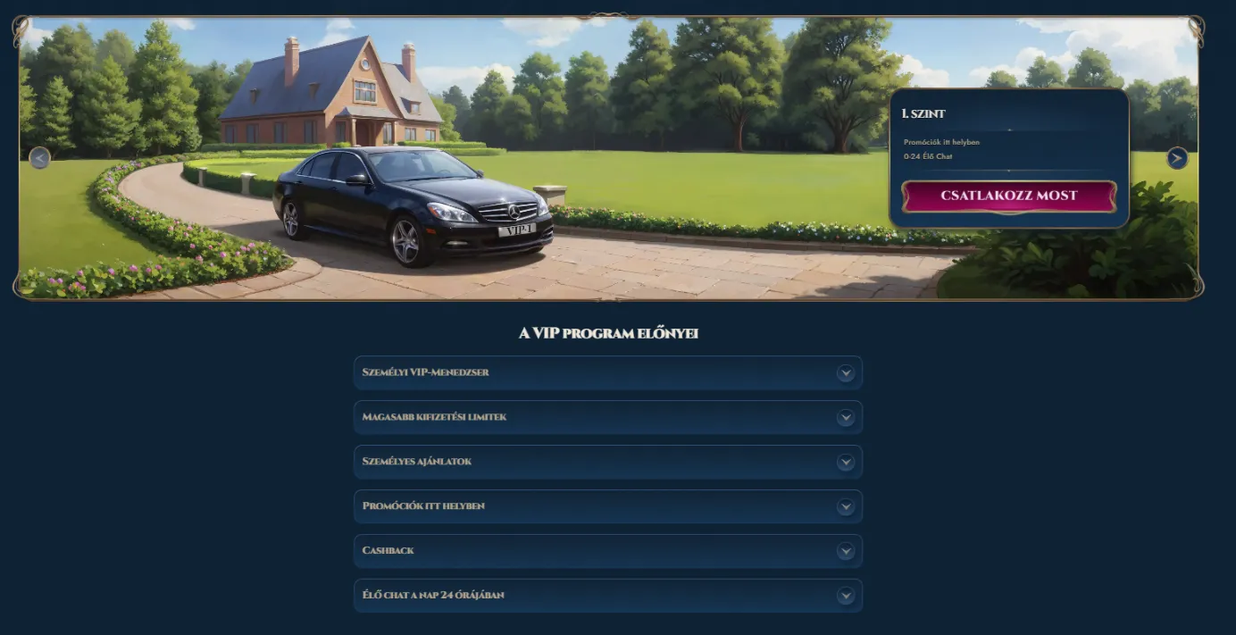 VIP-program