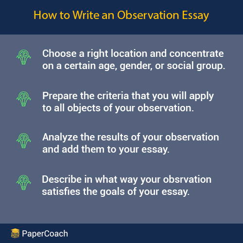How to Write an Observation Essay