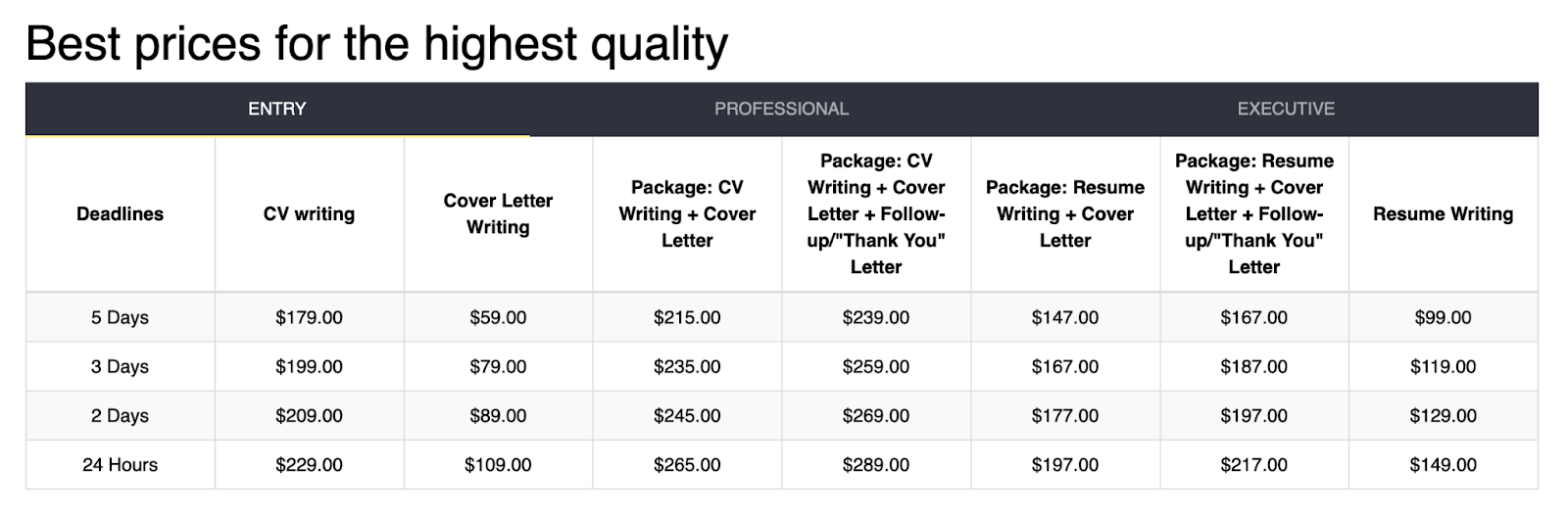 resume101 prices