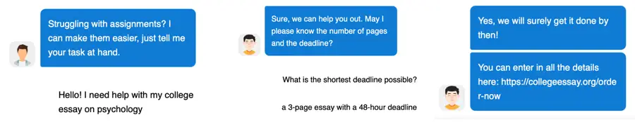 collegessays customer support