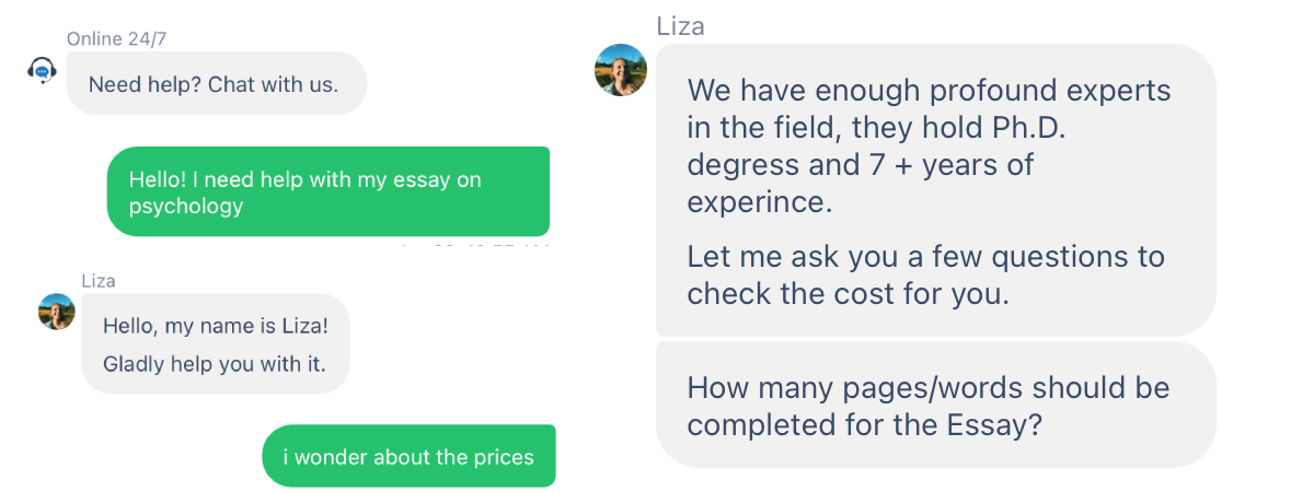 essay writer customer cupport