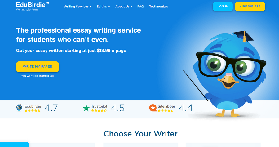 best essay writing service