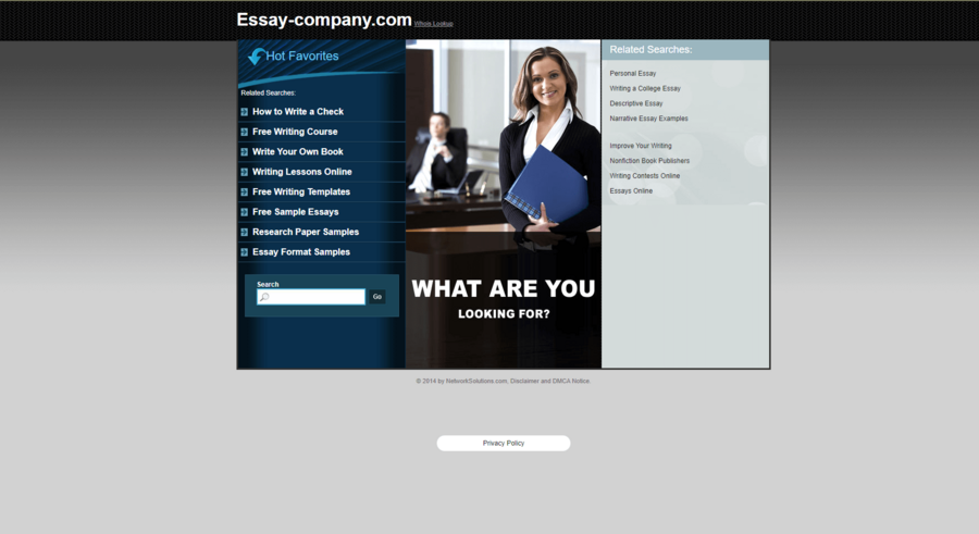 online essay review service