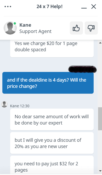 Chatting with a supporter about prices and deadline