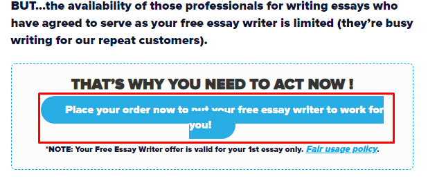 FreeEssayWriter site design