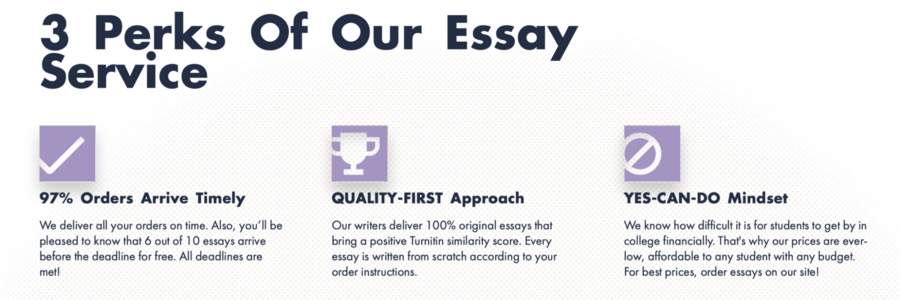 EssayWriter information about the company