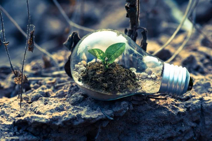 Environmental Science Topics: 100 Ideas for Student Projects