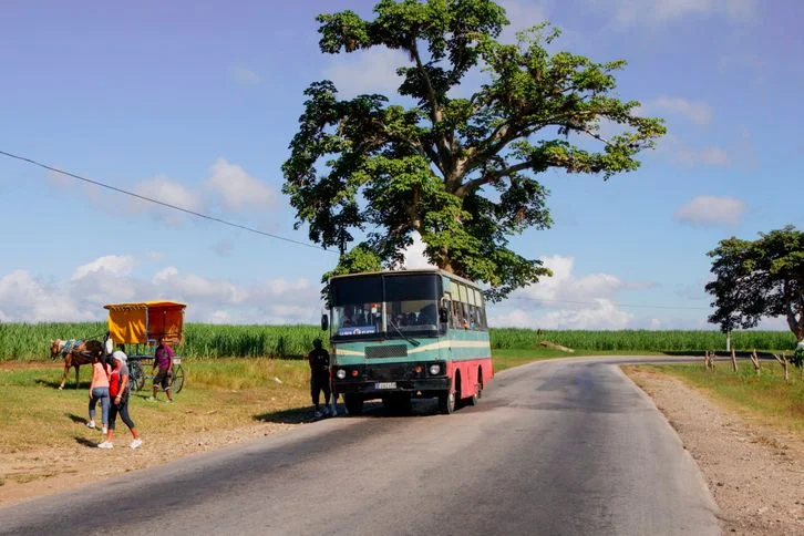 How to Write a Public Policy Essay on Rural Transport