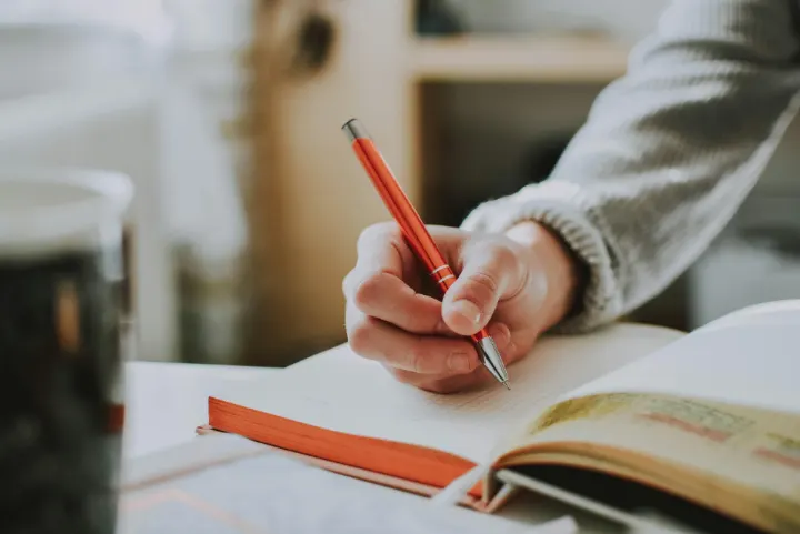 How to Write a Thesis - Thesis Structure 2024. Basics and Tips