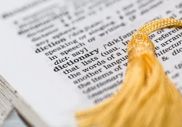 How to learn a new language: Top 8 tips for daily practice