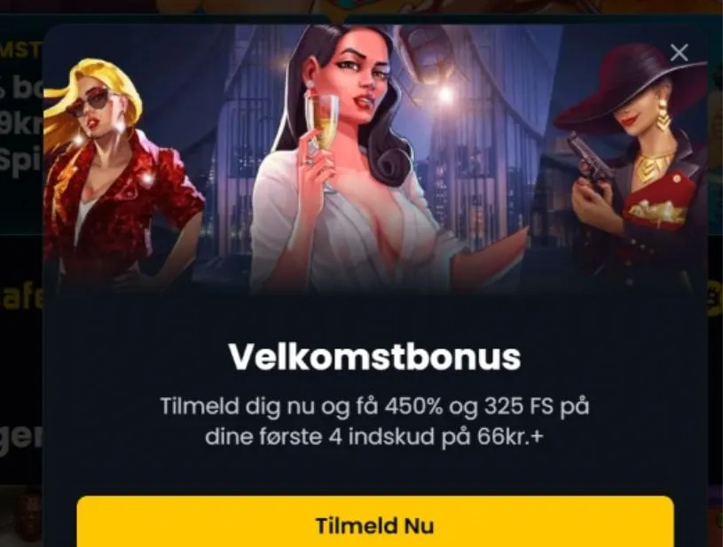 Bonusser og kampagner