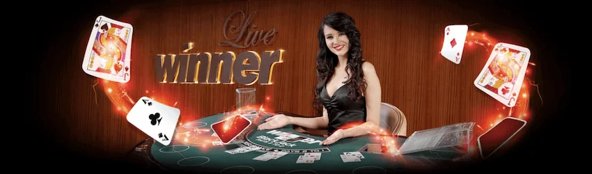 Winner Casino