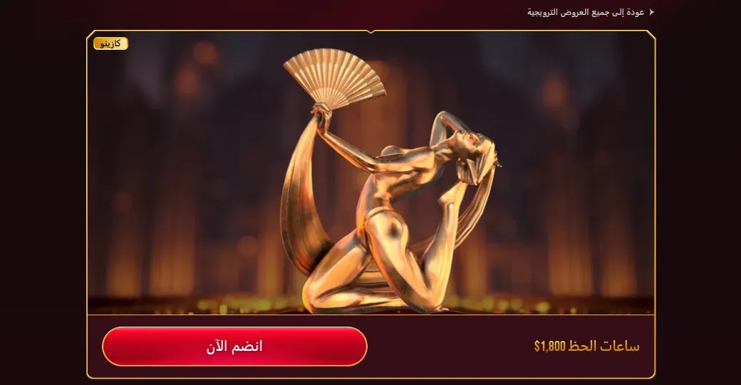 Bonuses and promotions