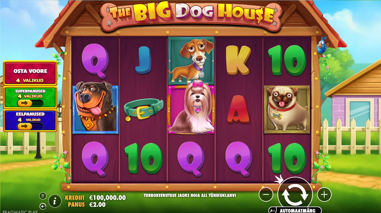 The Big Dog House