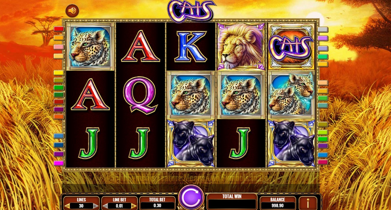 Cats slot