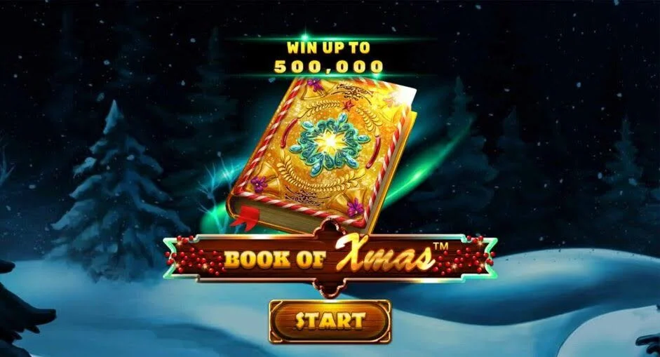 screenshot Book Of Xmas slot