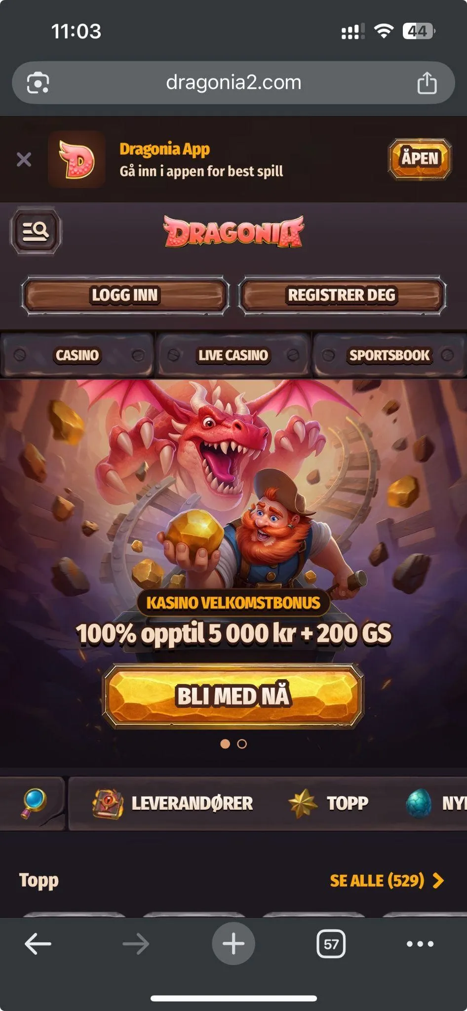 Bonuser og kampanjer