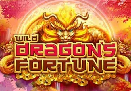 Wild Dragon’s Fortune