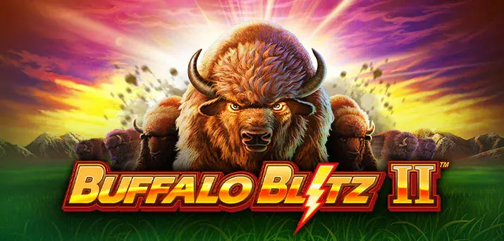 Buffalo Blitz II