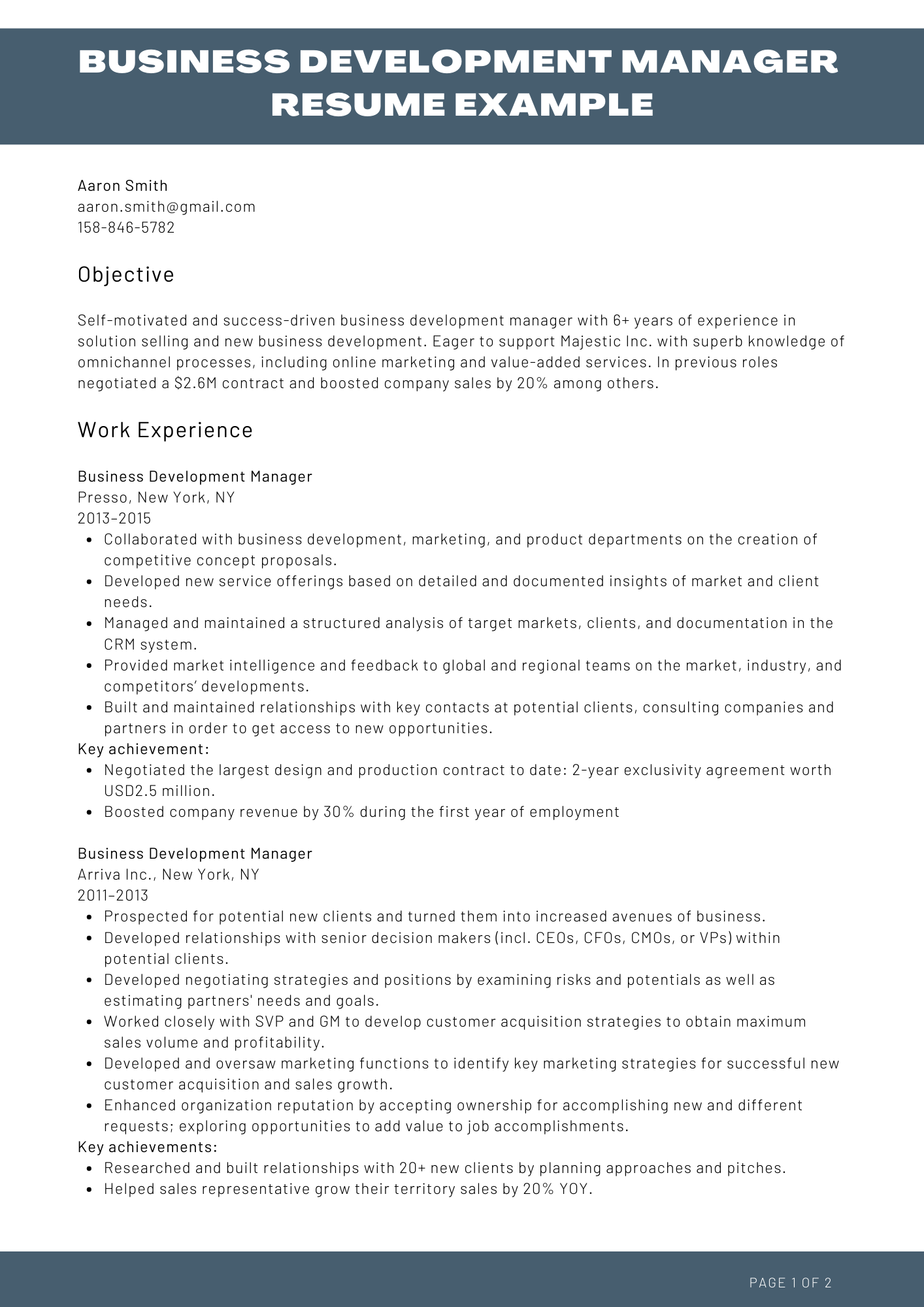 Business Development Resume Sample