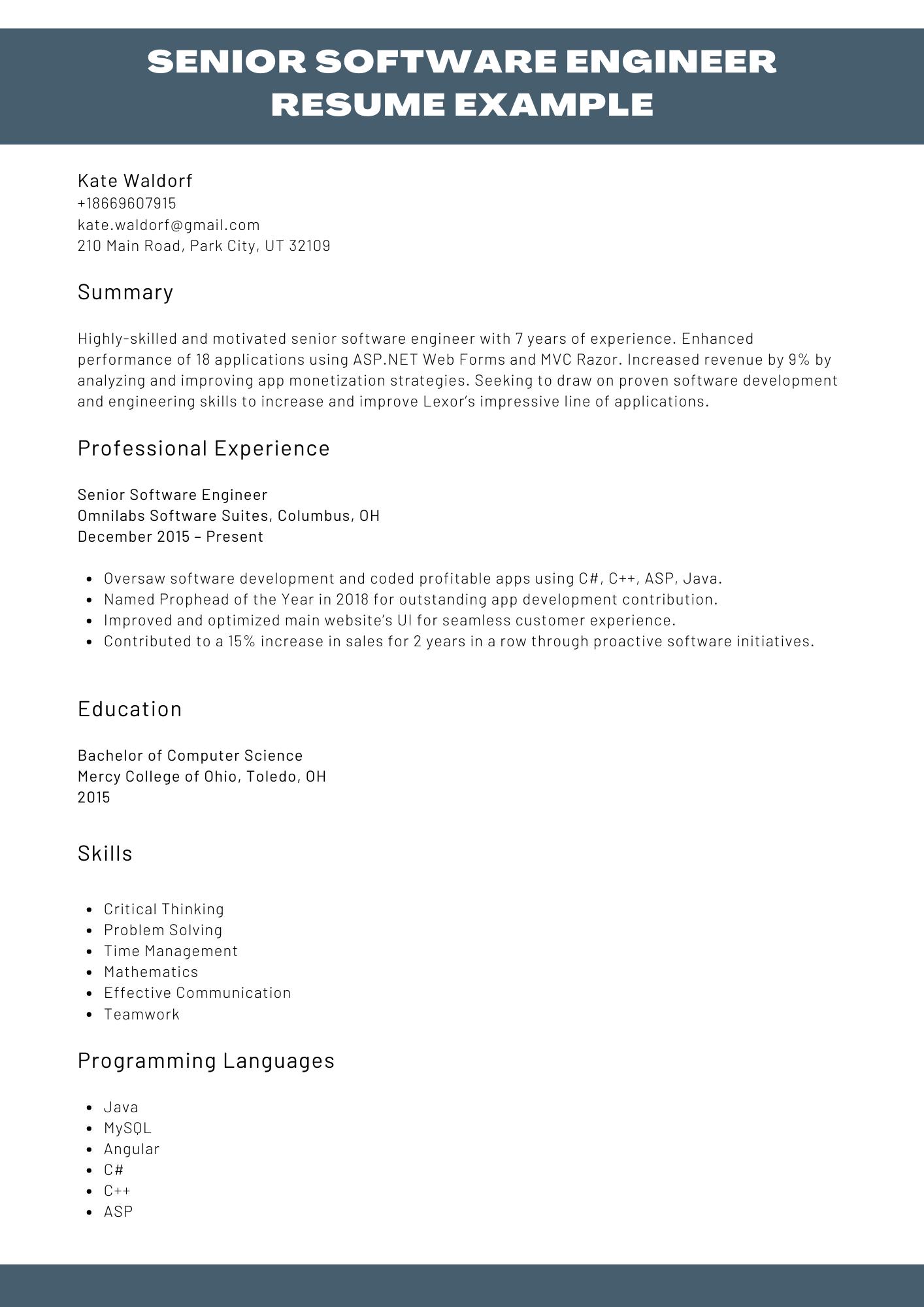 Senior Software Engineer Resume Example