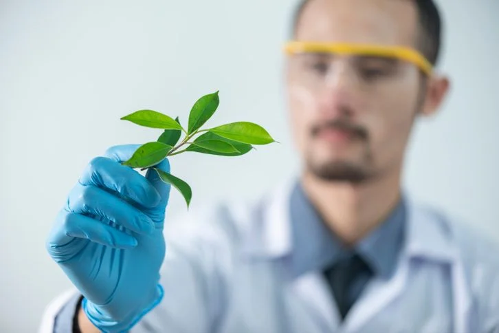 Environmental Science Topics: 100+ Project Ideas for Students