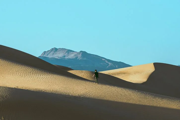 Dune Messiah Summary & Study Guide. Student Reading Guide