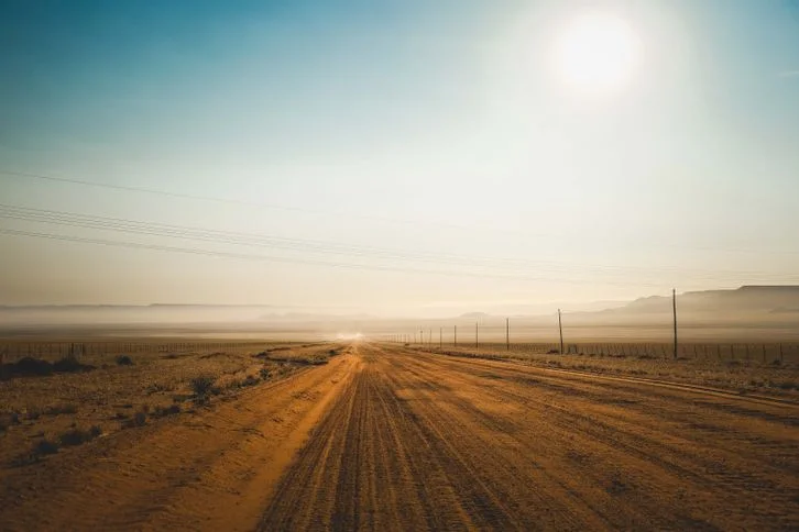 The Grapes of Wrath Summary & Study Guide | SpeedyPaper