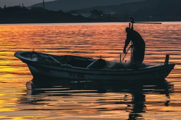 The Old Man and the Sea Summary & Study Guide for Students | SpeedyPaper