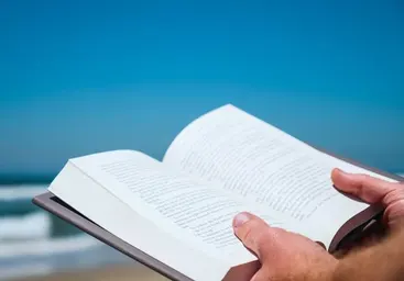 Four types of sentences: what you must know about sentence structure