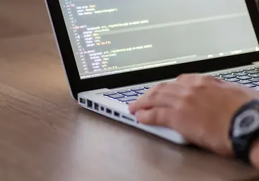 Programming vs coding: key similarities and differences to consider