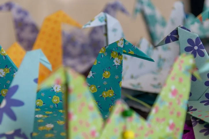 The Paper Menagerie Summary & Study Guide. Themes & Essay Ideas