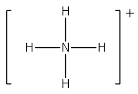 NH4+ Lewis Structure